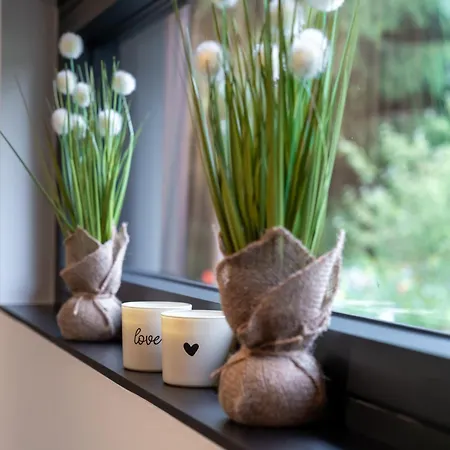 Nature Village – N°27 – 8 Personnes * Bullange