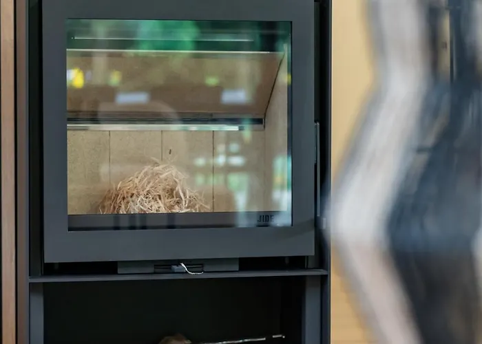 Nature Lake Village – Villa N°27 – 8 Personnes Lodge Bullange